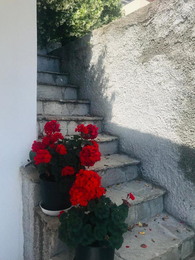 Villa Teresa Casarza Ligure Exteriör bild