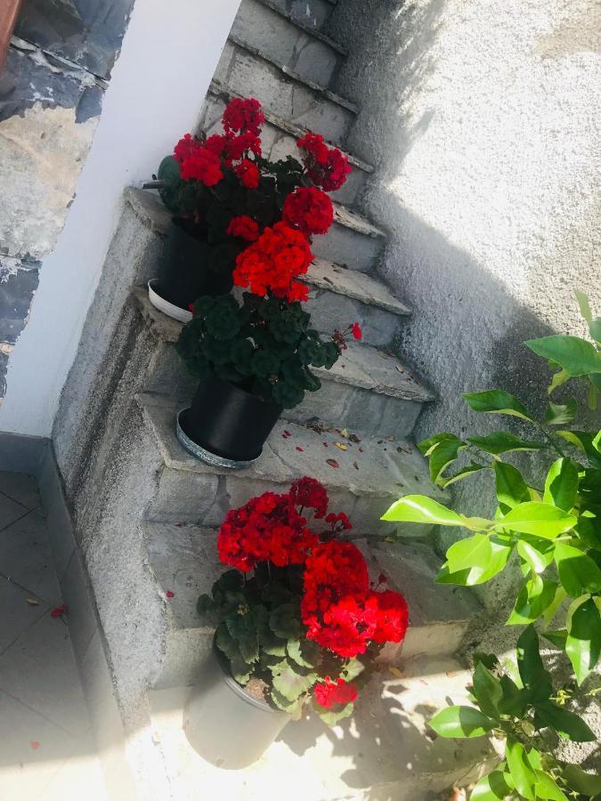 Villa Teresa Casarza Ligure Exteriör bild