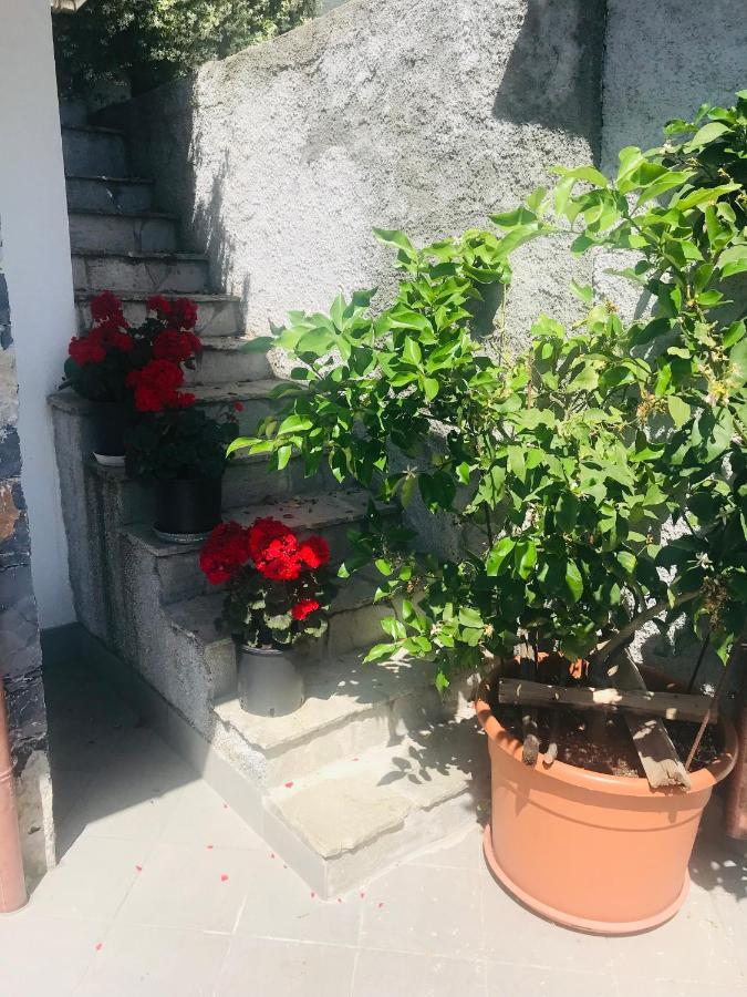Villa Teresa Casarza Ligure Exteriör bild